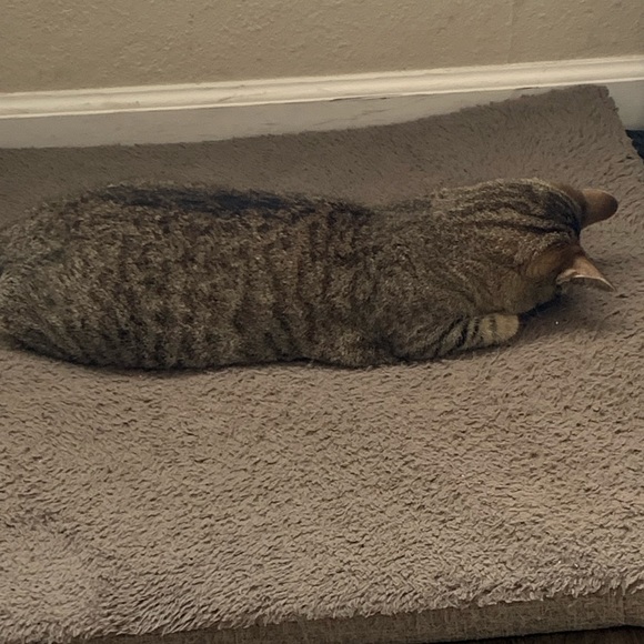 Meet your Posher, Siobhan - Picture 1 of 1